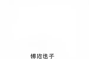 霓虹灯管照亮的后期机房角落与调色台